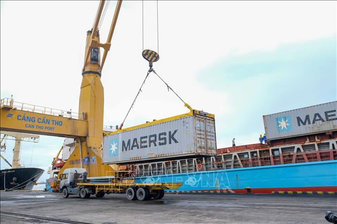 Bốc dỡ container lên sà lan tại cảng Cái Cui để vận chuyển đến cảng Cái Mép, ngày 30/5/2025. Ảnh: Thanh Liêm - TTXVN